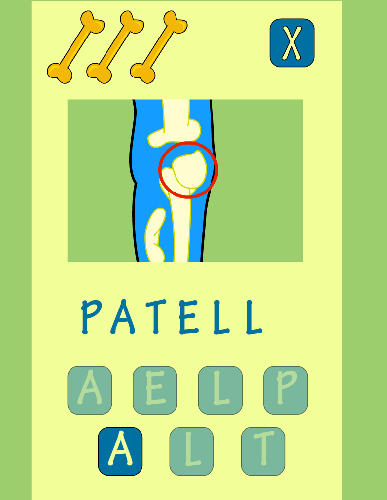 An image of the kneecap with a bunch of randomised letter tiles below. Some of the tiles are greyed out and the name of the bone is half-shown below it.
